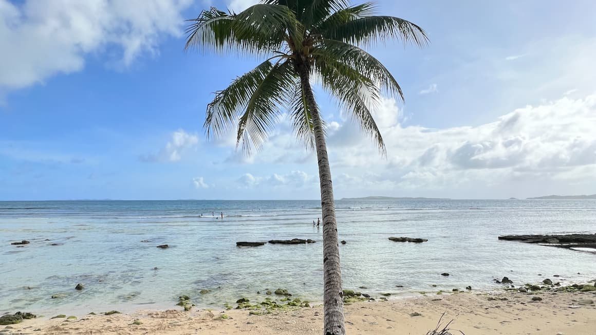 Peaceful palm tree on a serene beach in the Philippines
