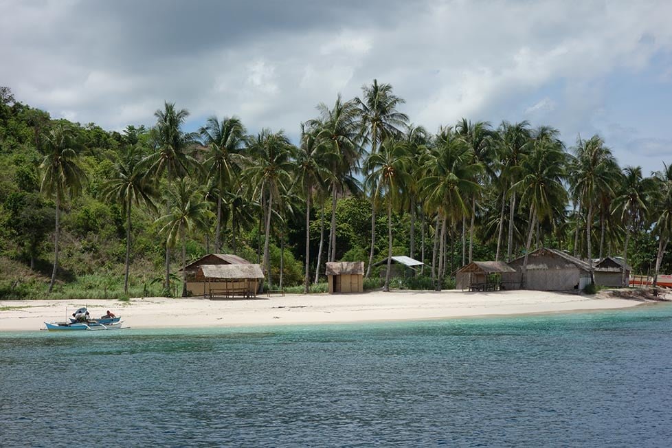 Beach huts surrounded by palm trees on a tropical island in Siquijor